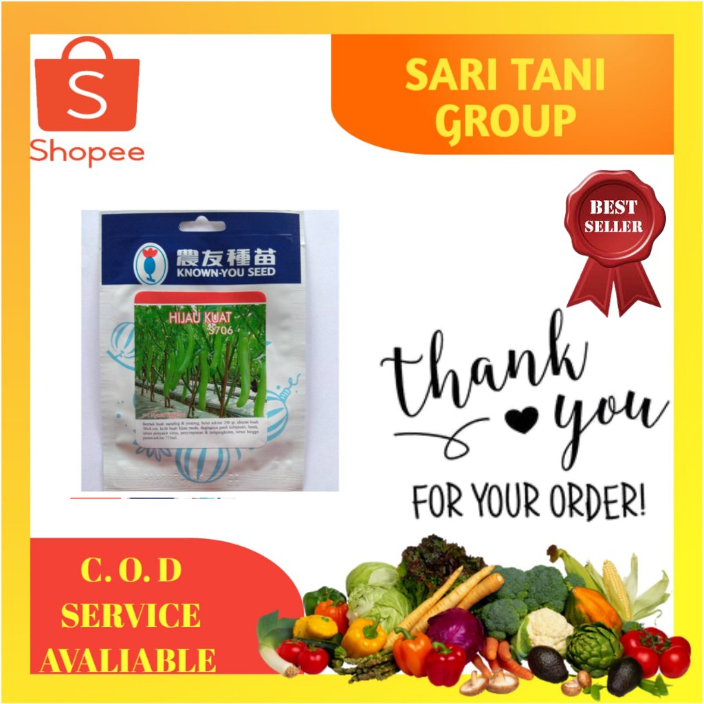 Benih Terong Hijau Kuat - 5 Gram