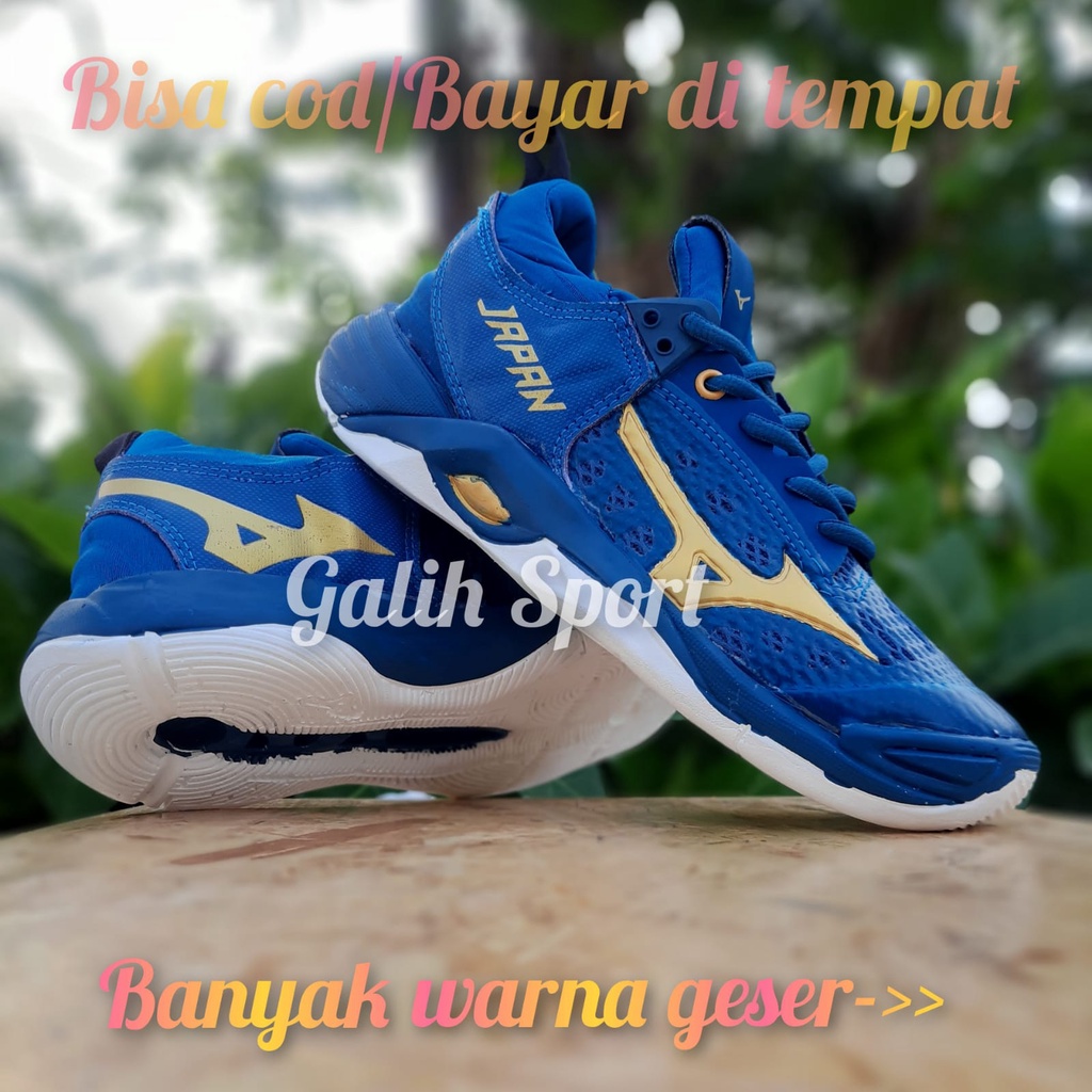 Jual Sepatu Mizuno Wave Momentum Lokal Indonesia Shopee Indonesia
