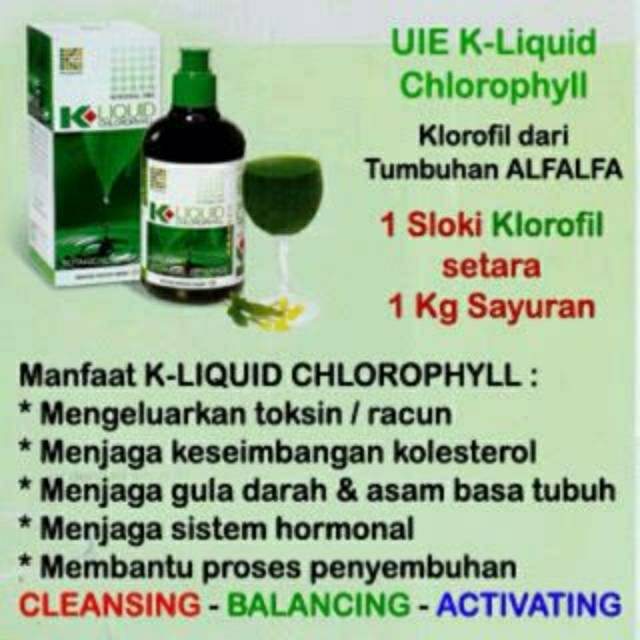 KLOROFIL K,LINK ASLI 100%