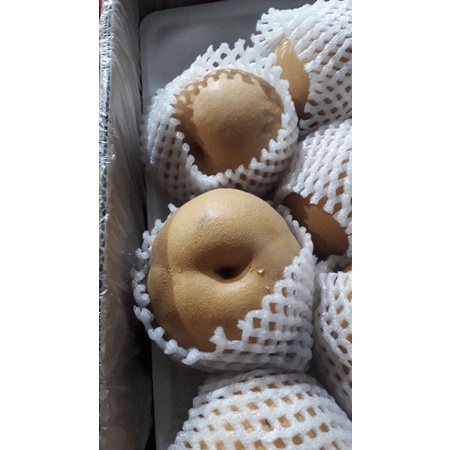 

pir singo korea 1kg