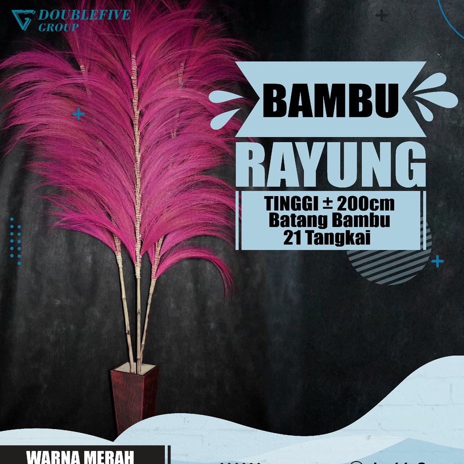 Rayung Jumbo - Rayung Kering Dekorasi - Rayung Stik Home Decor Rustik - Rayung Warna Terlengkap