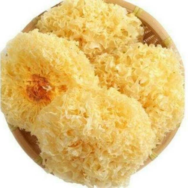 

Jamur es / jamur salju / pek bong ni / bai mu er ( jamur putih) kualitas terbaikk UTUH