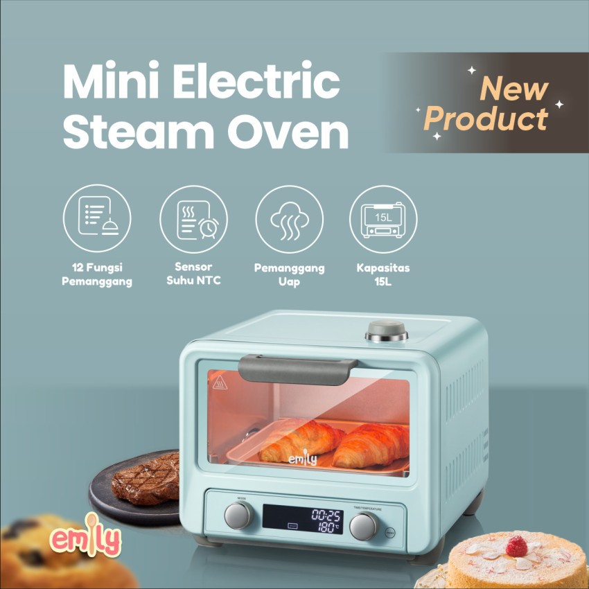 Emily Mini Electric Steam Oven