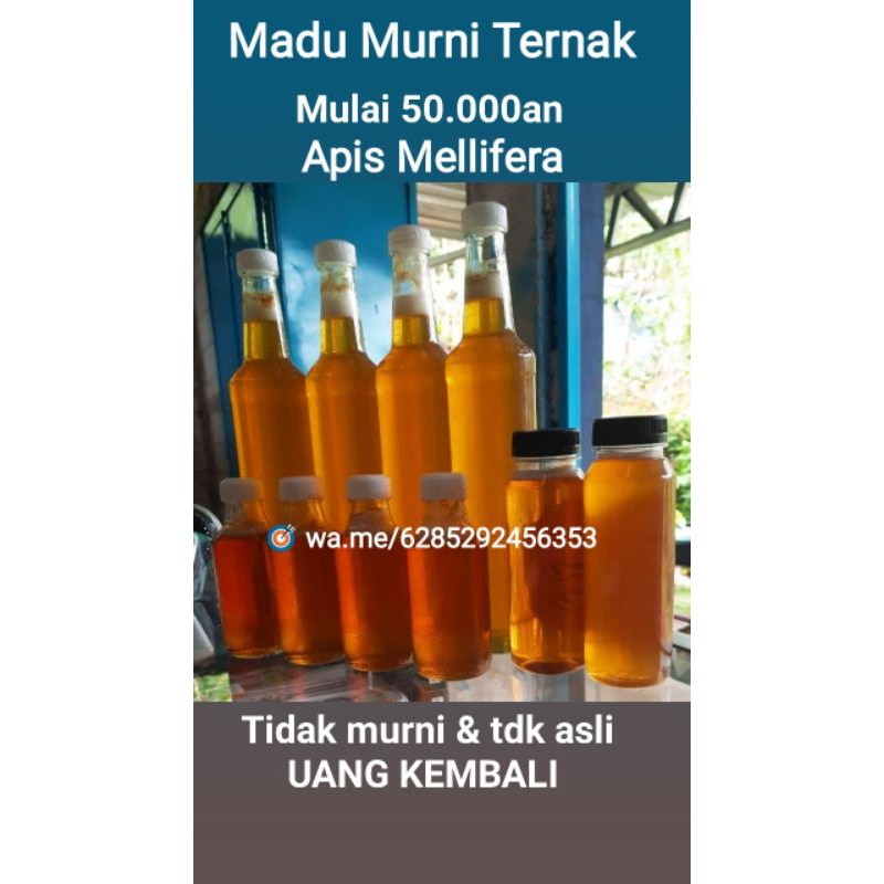 

Madu murni