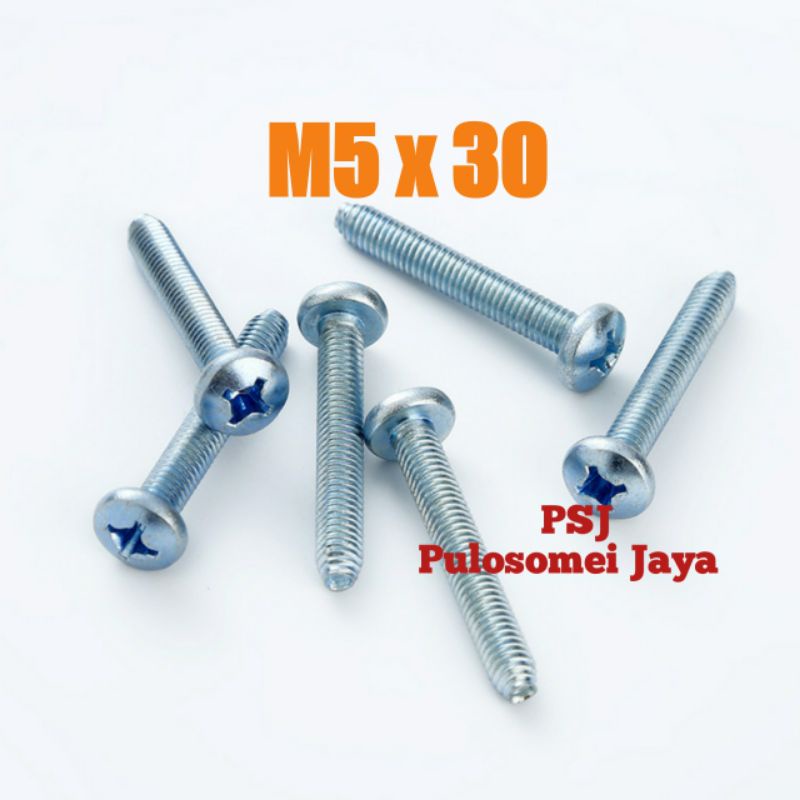 Baut JP / M5 x 30 / Machine Screw Galvanis (10 Pcs)