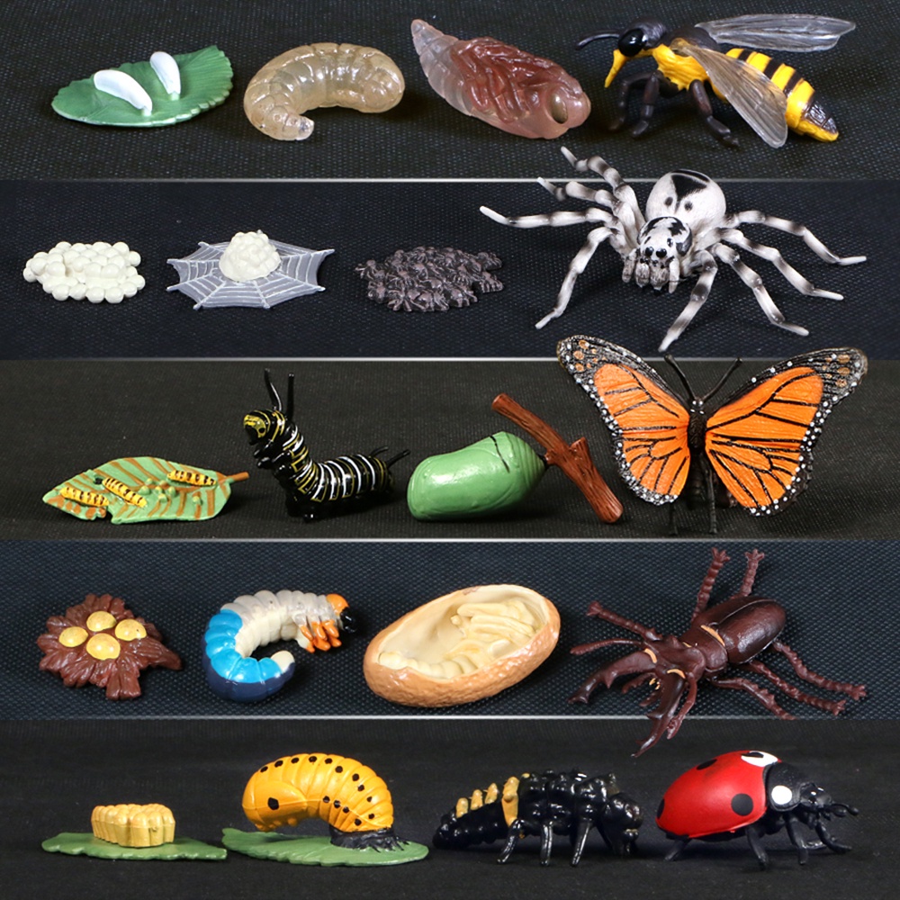WONDERFUL Kindergarten Teaching Animals Growth Cycle Butterfly Ladybug Figurine Simulation Early Education Life Cycle Kids Toy Chicken Dragonfly Model