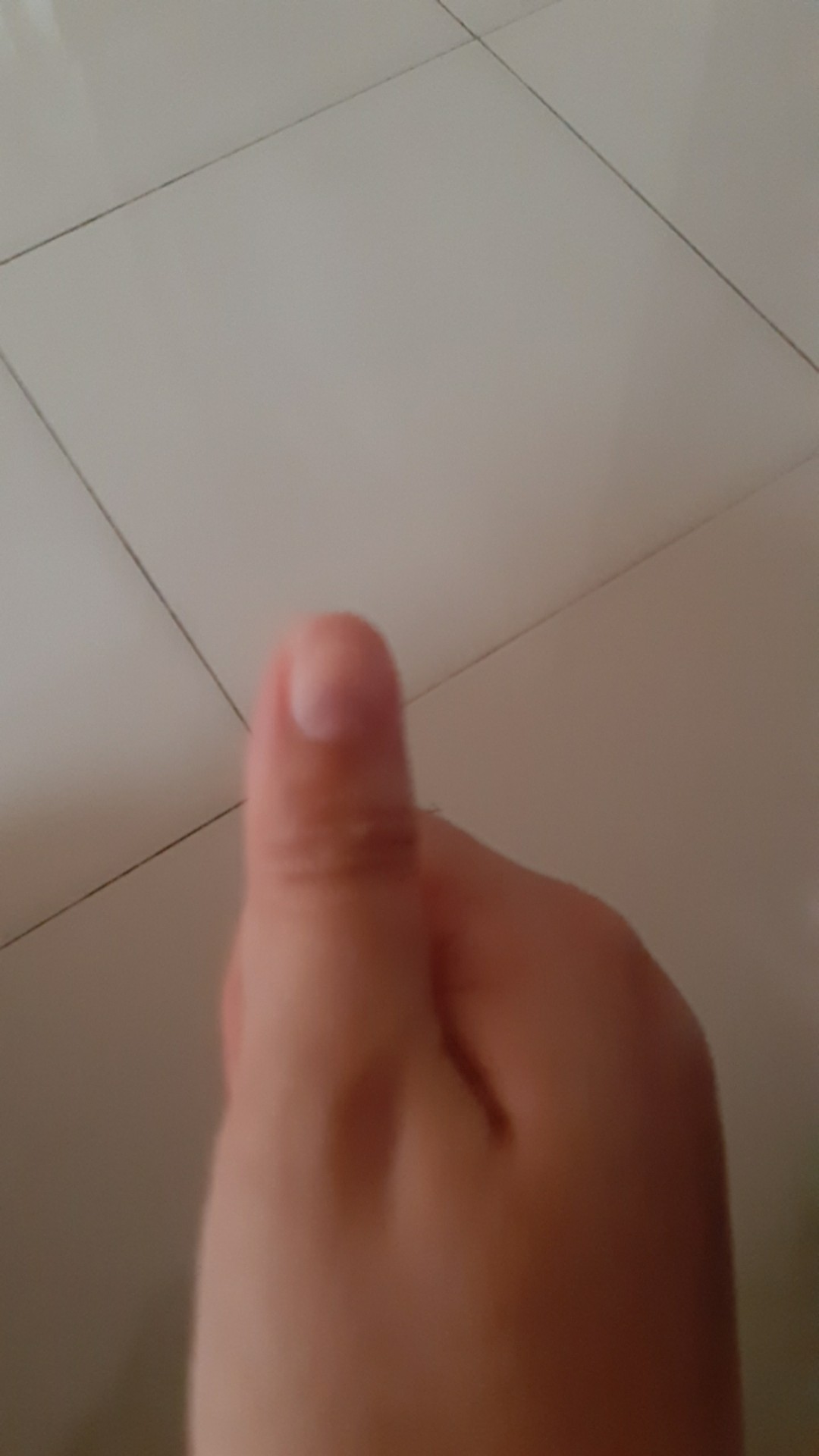 Payung Lpt 4 Motif Lazy Cat Anti Uv