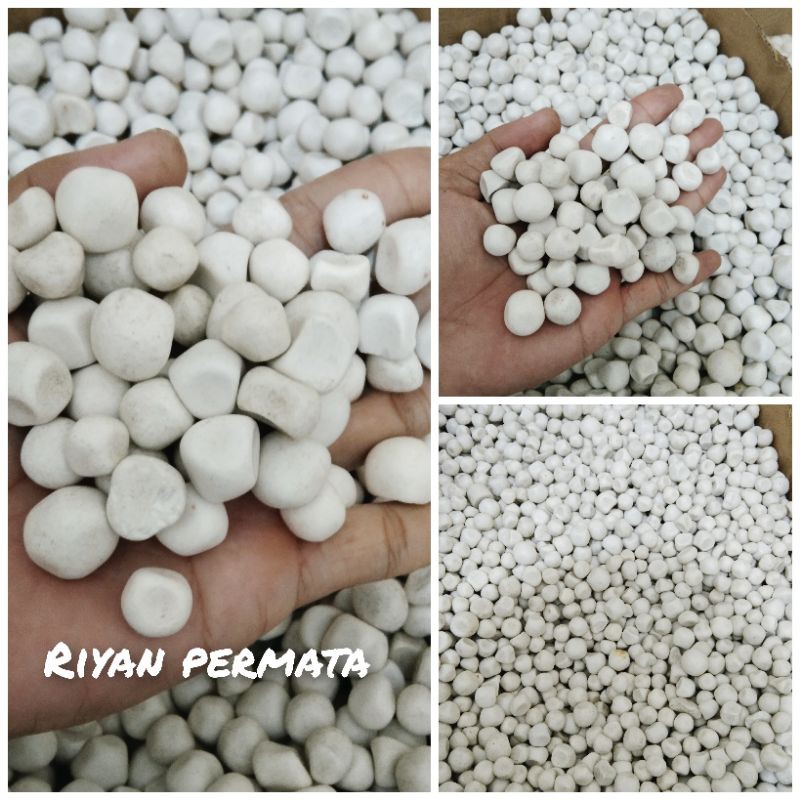 Batu tidar borongan 100pcs batu tidar
