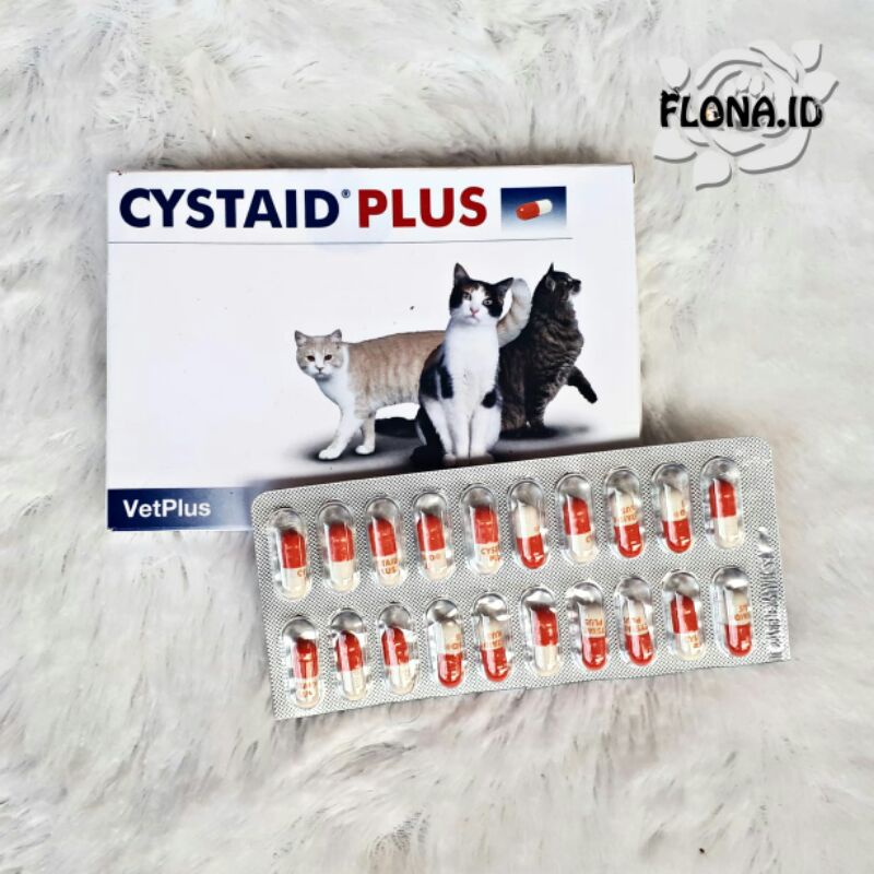 Cystaid Plus | Cystaid Kucing Obat FLUTD FUS Obat Susah Pipis Kucing Obat Infeksi Saluran Kencing Ku