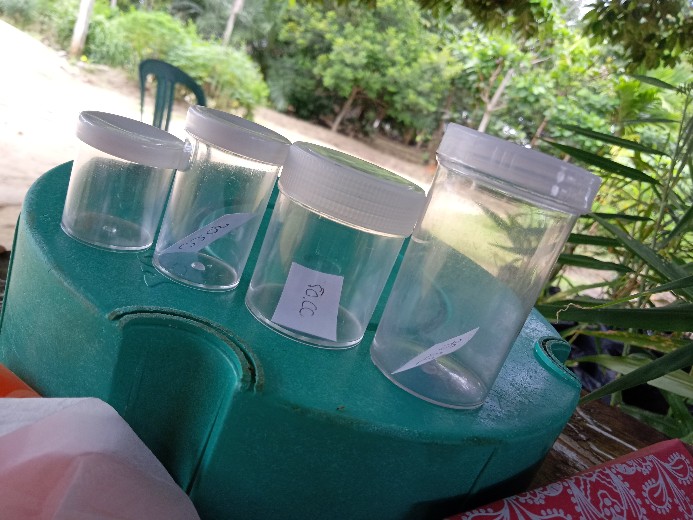 Botol Pot Plastik / Botol Slim 30cc