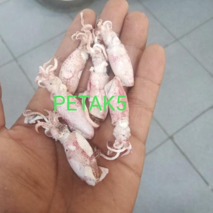 

Flash Sale!! (lsl-713) Cumi asin beby 1kg/cumi asin beby rebus/cumi asin kecil/beby cumi asin basah/