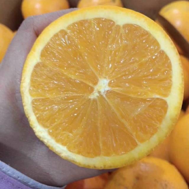 

Sunkist Navel 40rb/kg