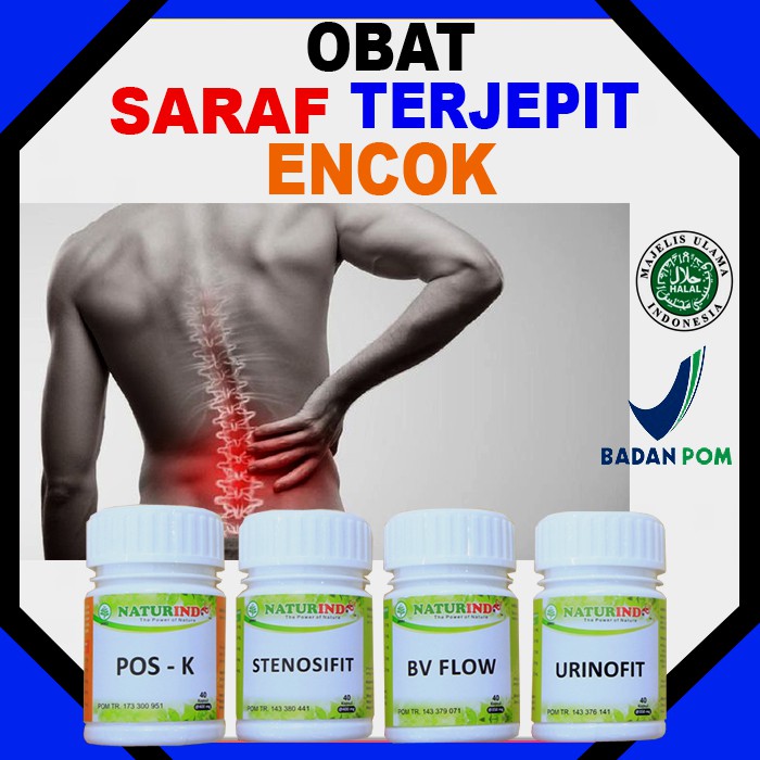 Obat Herbal Saraf syaraf kejepit pinggang Obat Nyeri Sakit Pinggang Encok Obat Pinggang Kejepit Terj