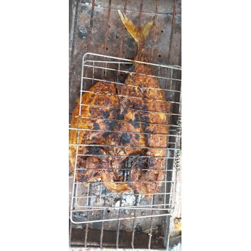 

Ikan Kwe Bakar Bumbu Spesial