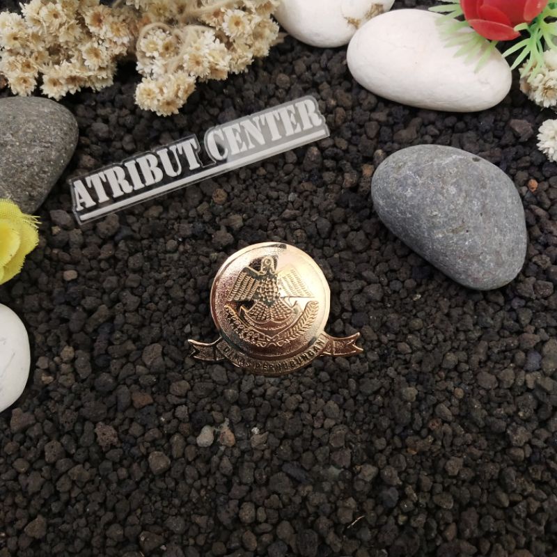 Pin Dinas Perhubungan