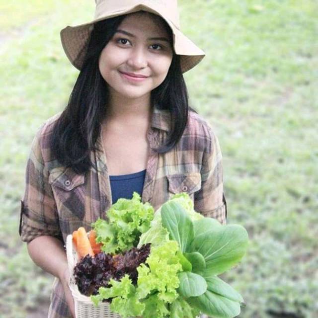 

PAKET BENIH SAYURAN SUPER HEMAT
