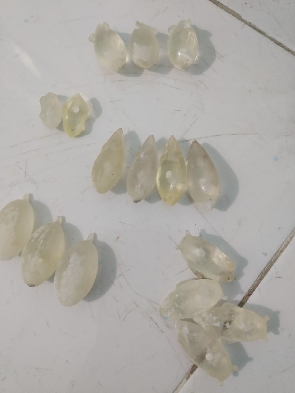 Molding/ Cetakan Soft Frog Doble Blade Ukuran 3.5cm Hook No 1