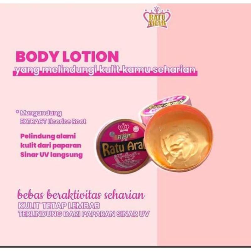 Bibit Ratu Arab Pidie Jaya