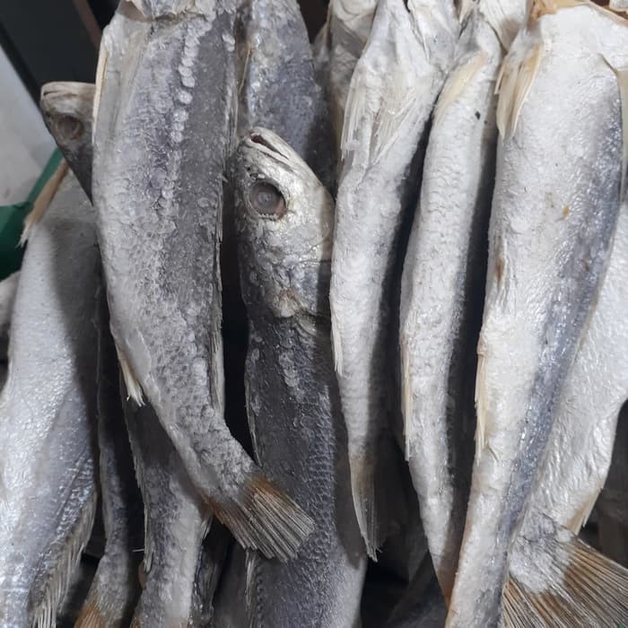 

Ikan asin sangge 250Gram