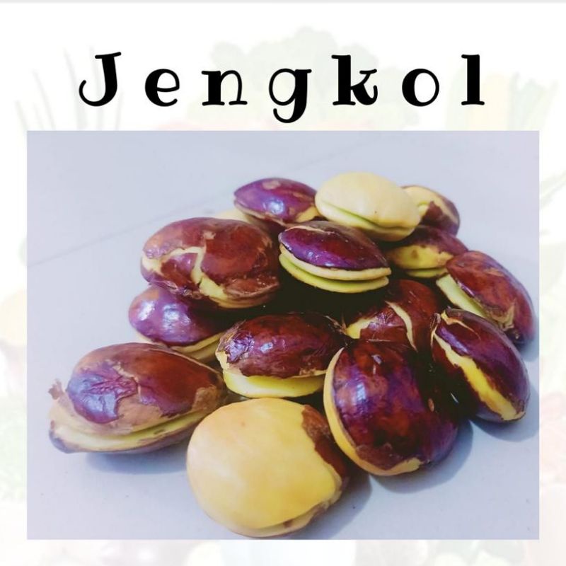 

Jengkol Fresh