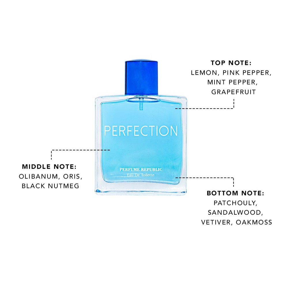 PARFUME REPUBLIC perfection man edt 100ml