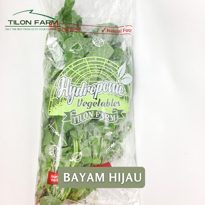 Bayam Hijau Spinach Hidroponik dan Organik Tilon Farm Sayuran Segar green spinach import cah tumis