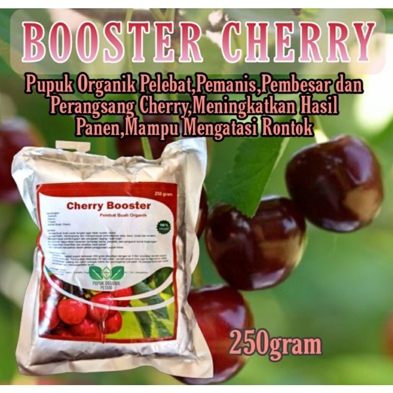 Pupuk Organik Booster Pelebat Cherry Serbuk Terbaik Ampuh Agar Cepat Berbuah Lebat,Pupuk Organik Perangsang Buah Cherry Agar Cepat Berbuah,Pupuk Organik Cherry Mampu Atasi Rontok