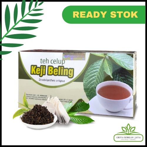 

Teh Herbal Keji Beling mengobati penyakit ginjal dan melancarkan buang air kecil teh keji beling Tazakka Original