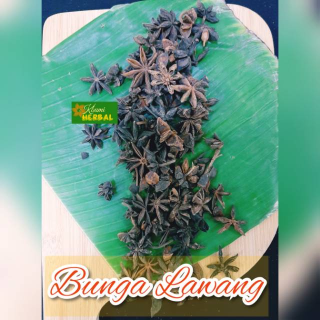 

BUNGA LAWANG PEKAK