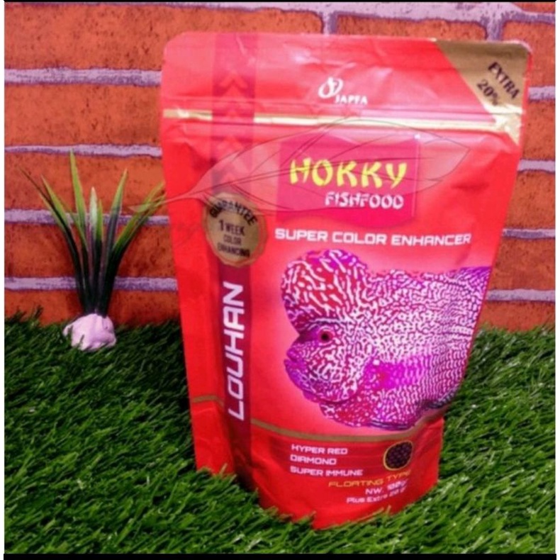 hokky lohan color makanan ikan lohan hokky color lohan