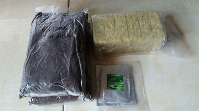 5rb - Benih Bayam Hijau - Kemasan Repack - Aluminium Foil