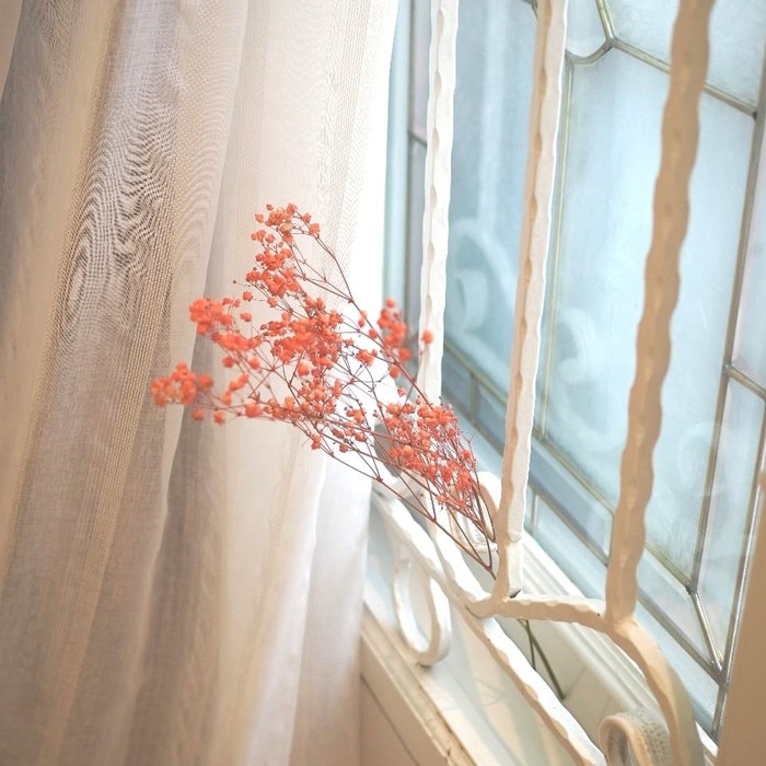 Pastel Color Dried Baby Breath / Baby Breath Kering