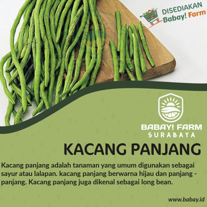 

Kacang Panjang 250 500 gr / 1 kg