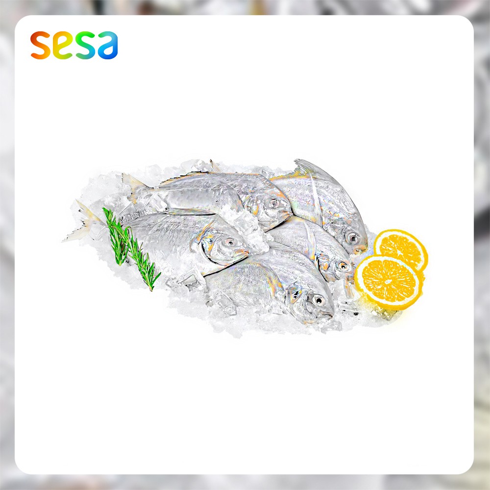 

IKAN BAWALHitam Beku 0.8-0.9kg - Seafood Frozen