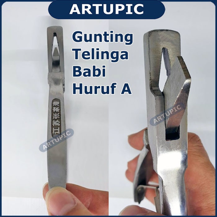 Gunting Telinga Babi Huruf A Alat Potong Kuping Babi Pig Ear Scissors Artupic