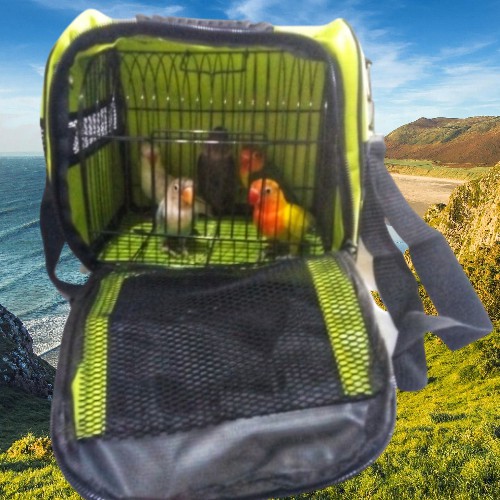 Tas Sangkar COD Tas Untulan Lovebird Lomba Terlaris