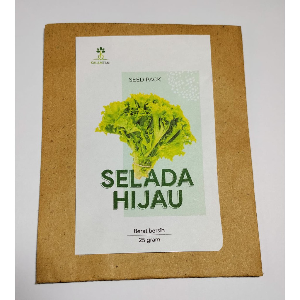 Benih Selada Hijau Keriting