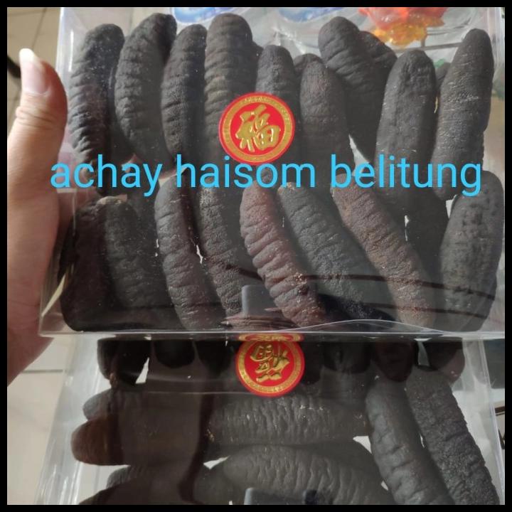 

Haisom Teripang Belitung 30Ekor/Kg