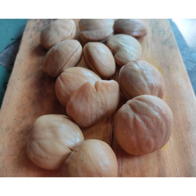 

Jengkol matang super siap bumbu & masak 250 gram ~ 1000 gram original fresh