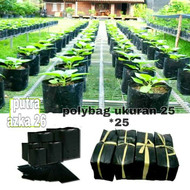 polybag tanaman, polybag besar, ukuran 25 *25 kemasan 500 gr