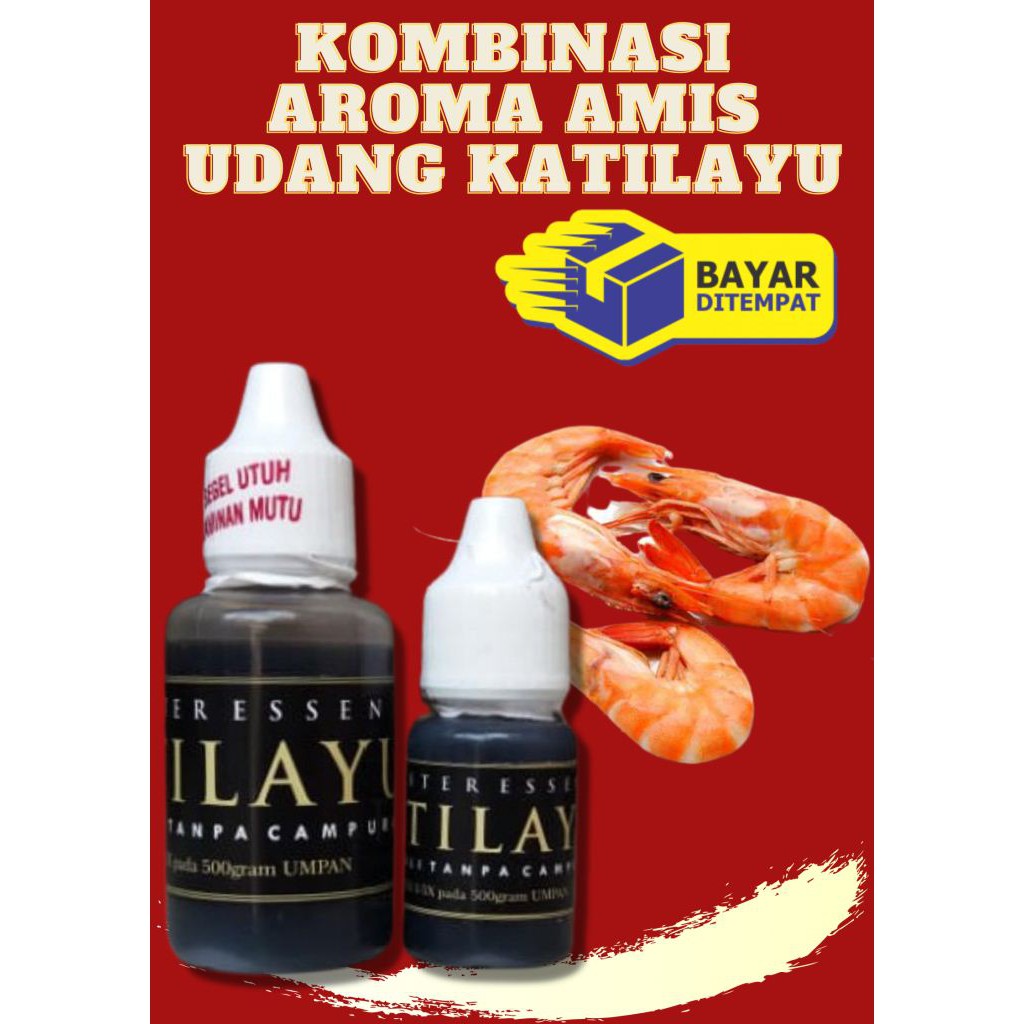 Essen amis wangi katilayu oplosan udang