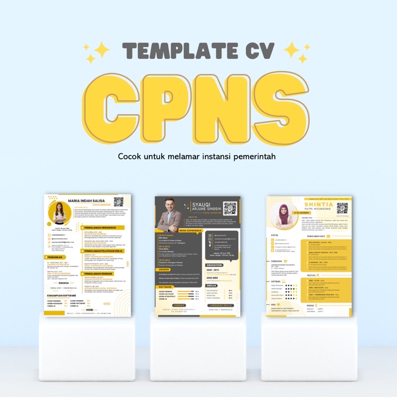 Jual Template CV CPNS (BUMN, Instansi Pemerintah) - Jago Bikin CV ...