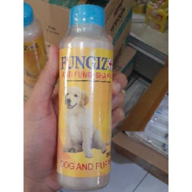 FUNGIZOLE SHAMPOO JAMUR ANJING