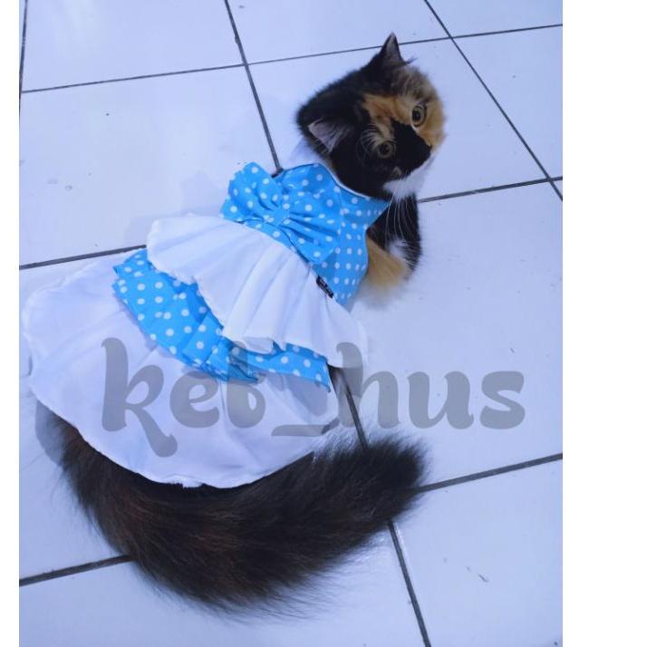 qxit-79 Baju Kucing Dan Anjing Betina Model Dress Gaun Aksesoris Hewan Unik Mini Pom Poodle Anggora Persia Motif Polkadot Series Jual produk