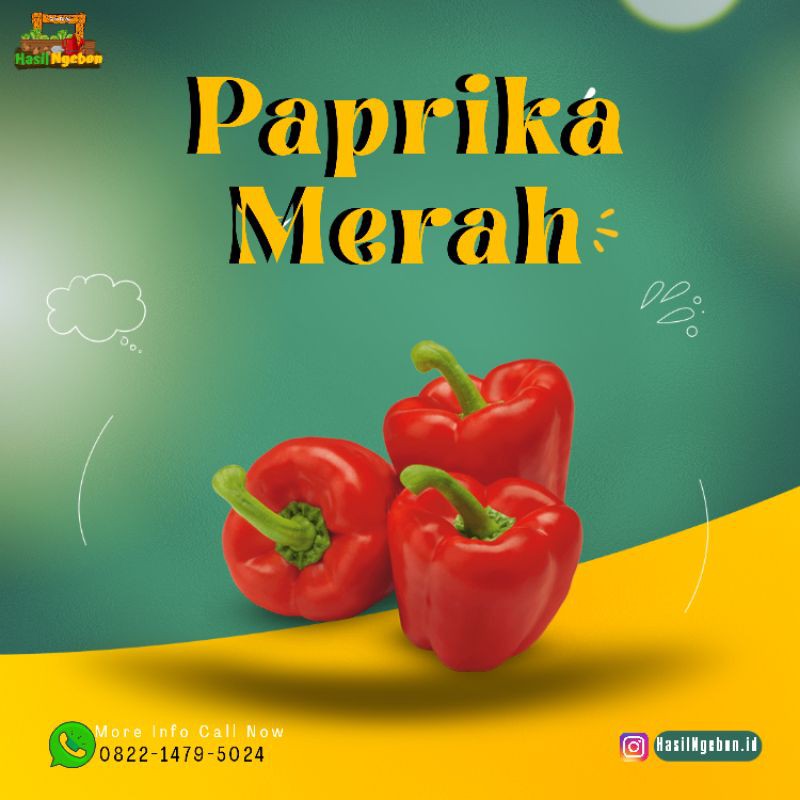 

PAPRIKA HIJAU DAN PAPRIKA MERAH 250GR