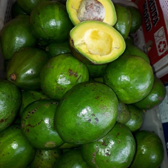 

Alpukat Menteng Super