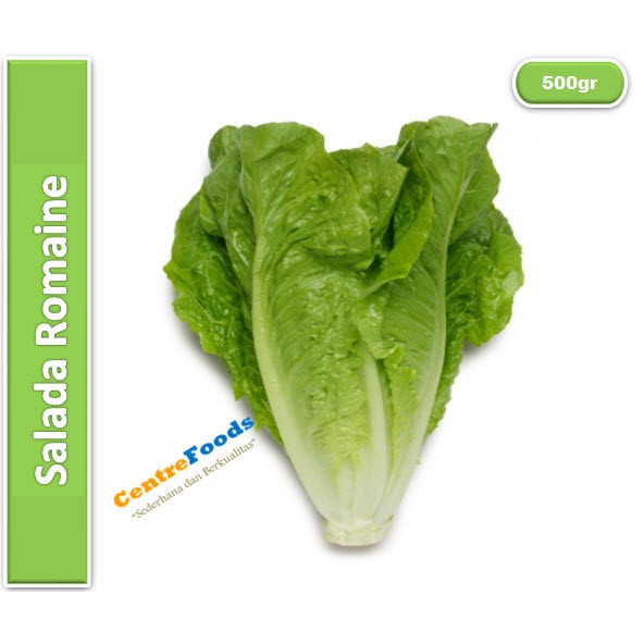 

Salada Romaine | Romen Lettuce [ Berat 0.5kg / 500gr ]