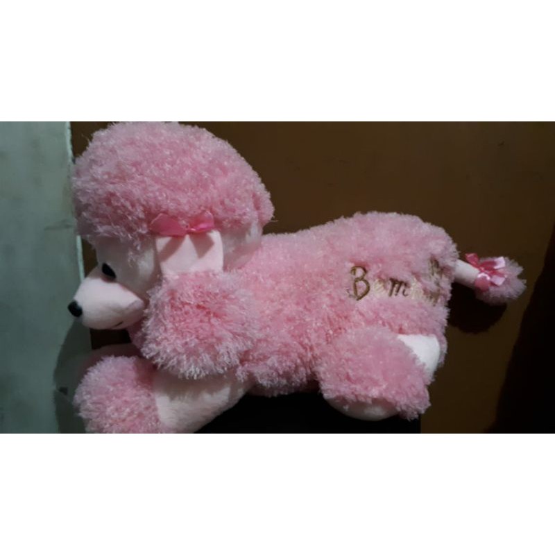 Boneka Pudel jumbo