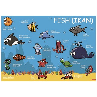 Poster Gambar Hewan Laut Posbel Edukasi Balita Paud TK Poster Gambar Hewan Laut Posbel Edukasi Balita Paud TK