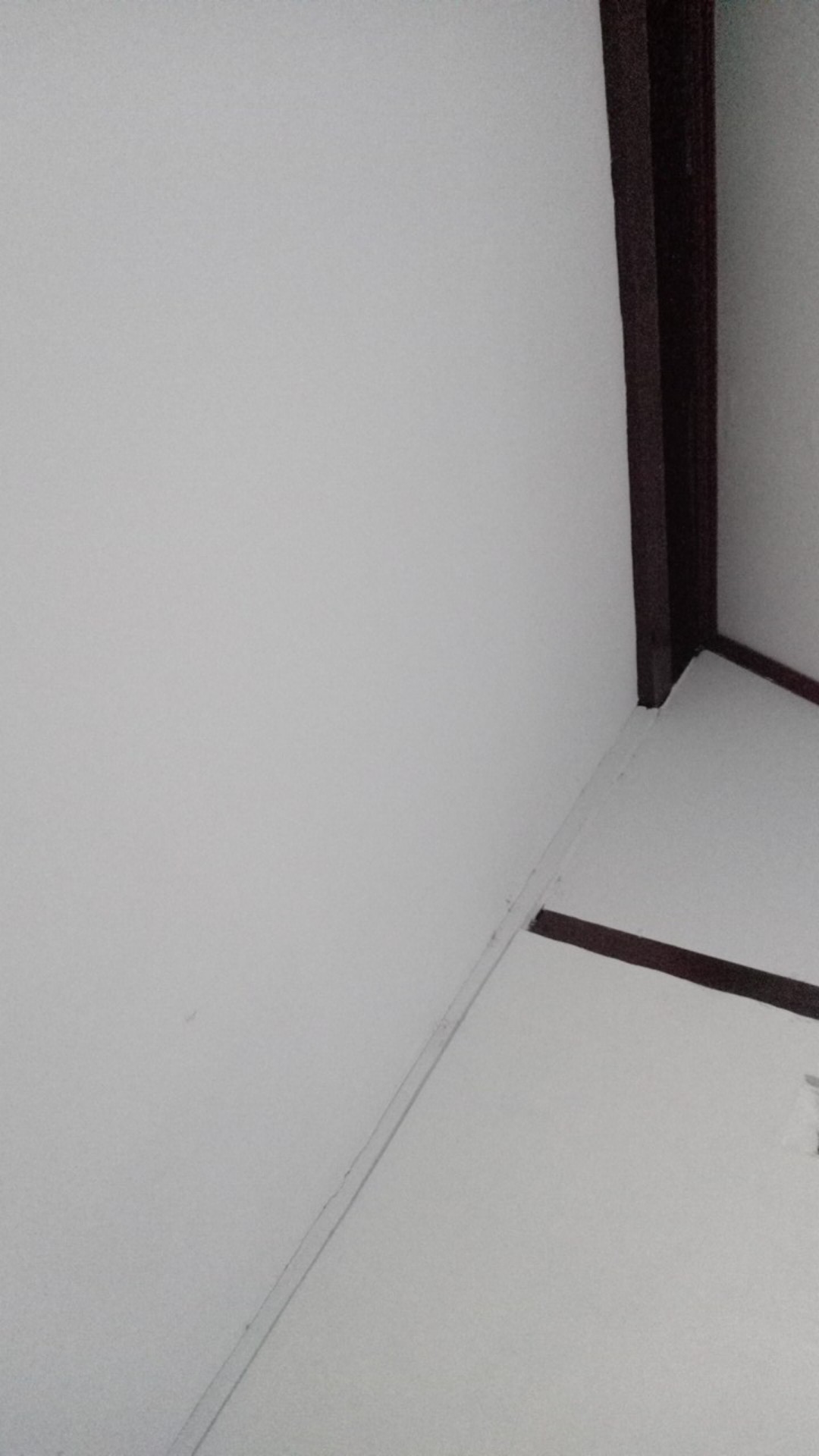 Sticker Label Share Avoskin Avo Skin Phte Hte Refining